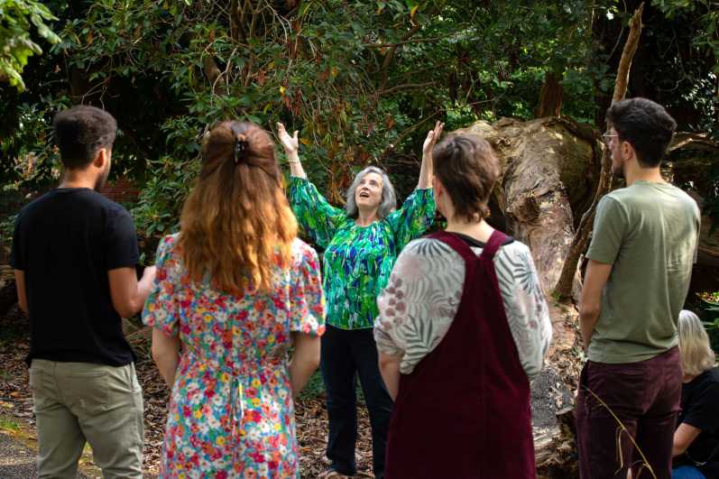 singing leader raises hands and eyes to the trees, surrounded by singers