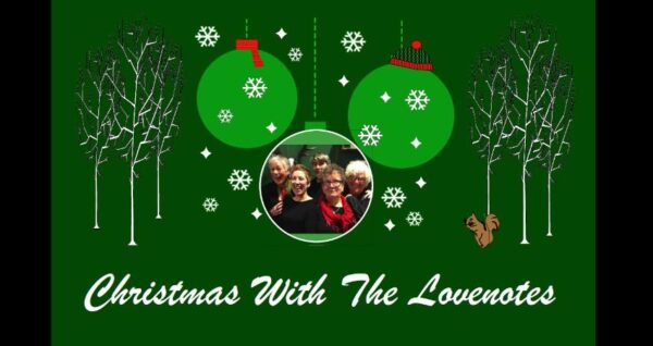 Concert only (Low household income)