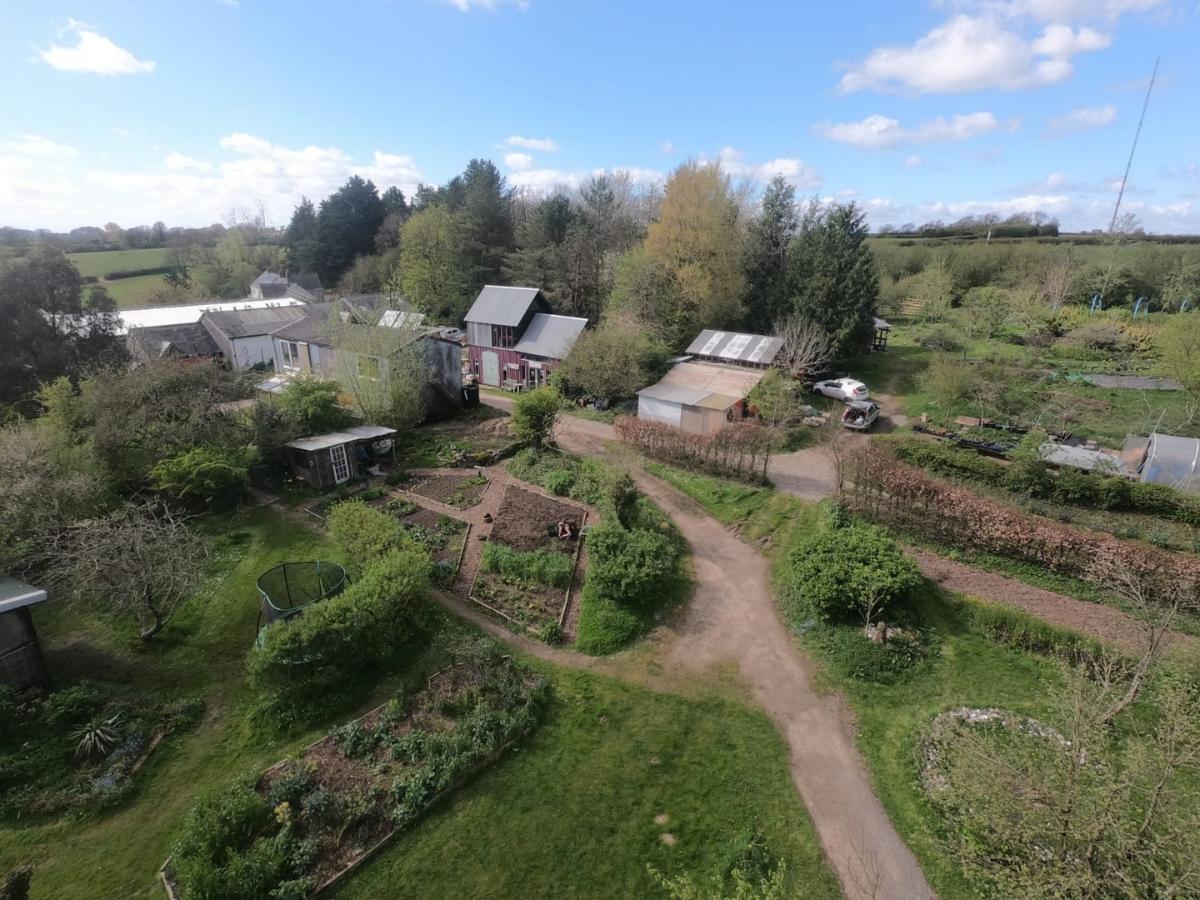 Coed Hills - Ediculture